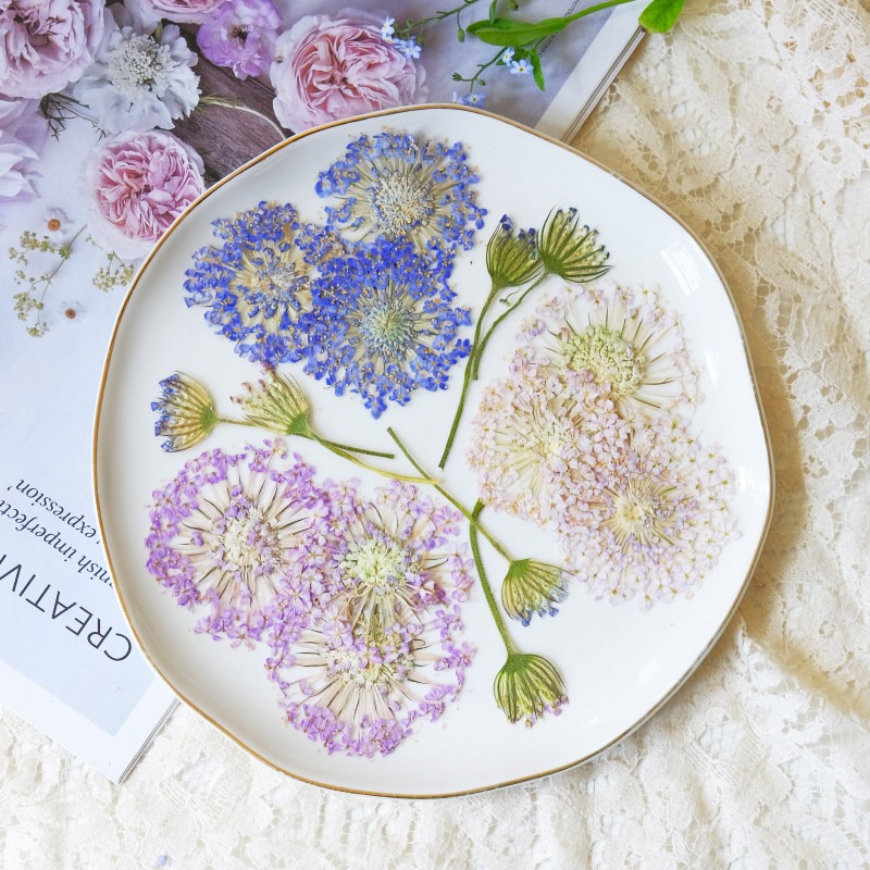 12 قطعة من الزهور الطبيعية الم - مراجعة Dried Flower Bookmark وسعره